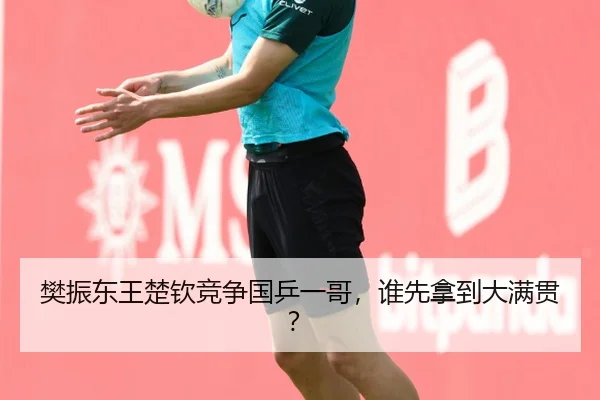 樊振东王楚钦竞争国乒一哥，谁先拿到大满贯？
